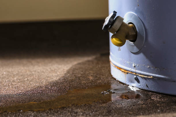 Best 24-hour water damage restoration  in Attica, MI