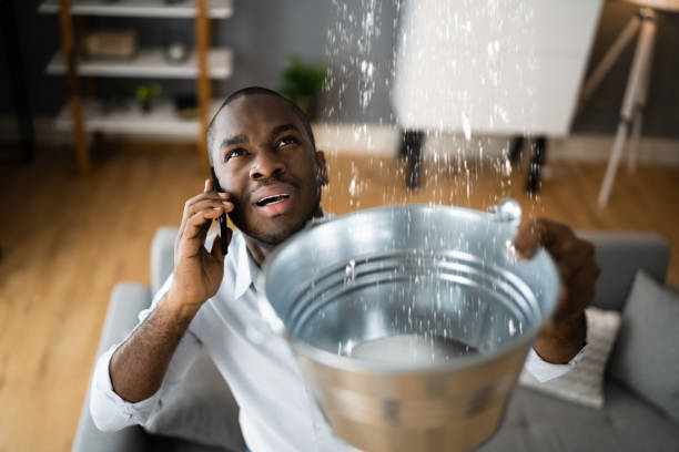 Best Local water damage restoration  in Attica, MI