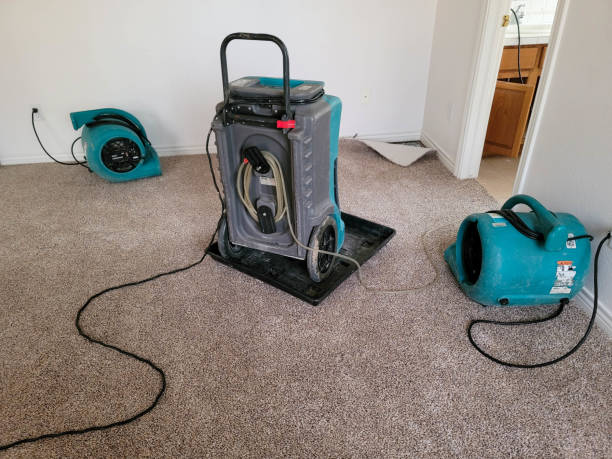 Best Commercial water damage restoration  in Attica, MI