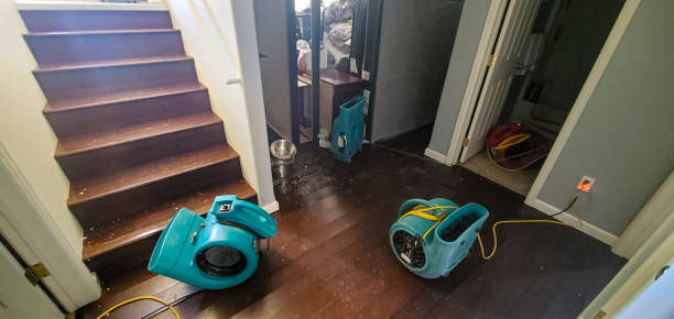 Best Carpet water damage restoration  in Attica, MI
