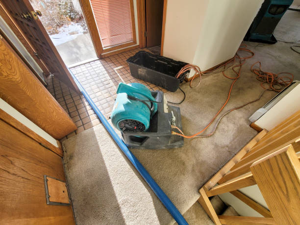 Best Professional water damage repair  in Attica, MI