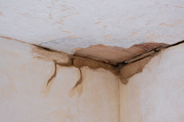 Best Ceiling water damage repair  in Attica, MI