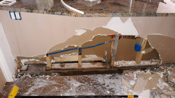 Best Water damage cleanup near me  in Attica, MI
