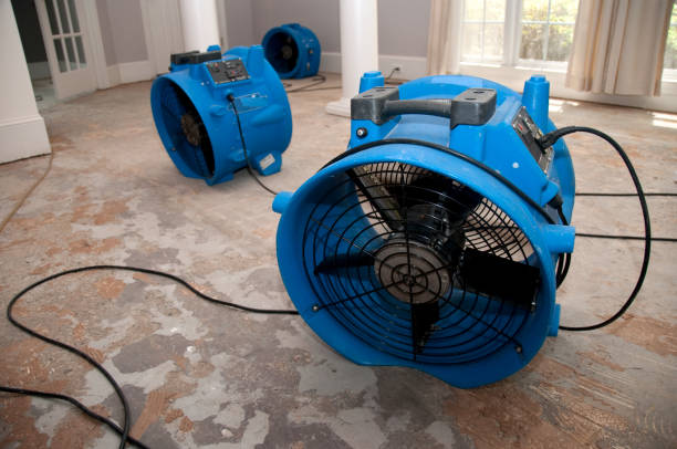 Best Fire Damage Restoration  in Attica, MI
