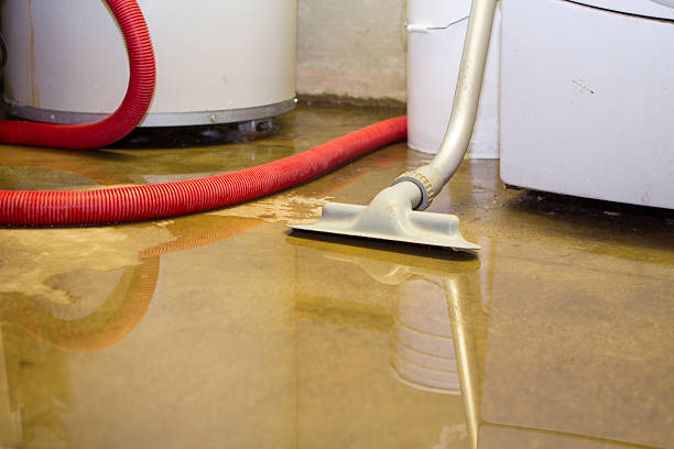 Best Water damage restoration specialists  in Attica, MI