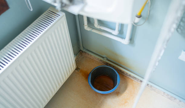Best Water damage mitigation services  in Attica, MI