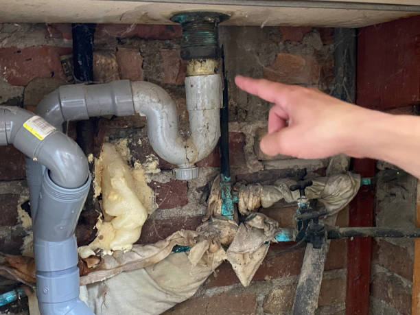 Best Water damage contractors near me  in Attica, MI