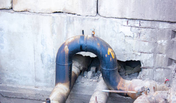 Best Flood damage cleanup  in Attica, MI