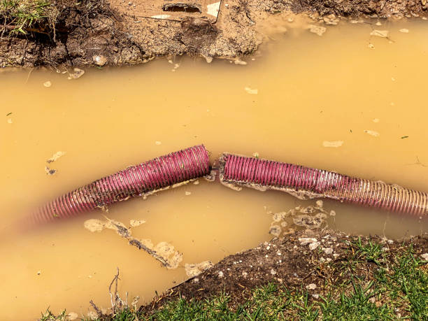 Best Water damage restoration insurance claims  in Attica, MI